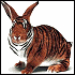 wabbiter's Avatar