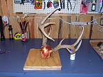 Antler Worx