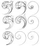 Scrollwork drawing/practising